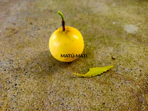 Fallen kingdom.. Photography