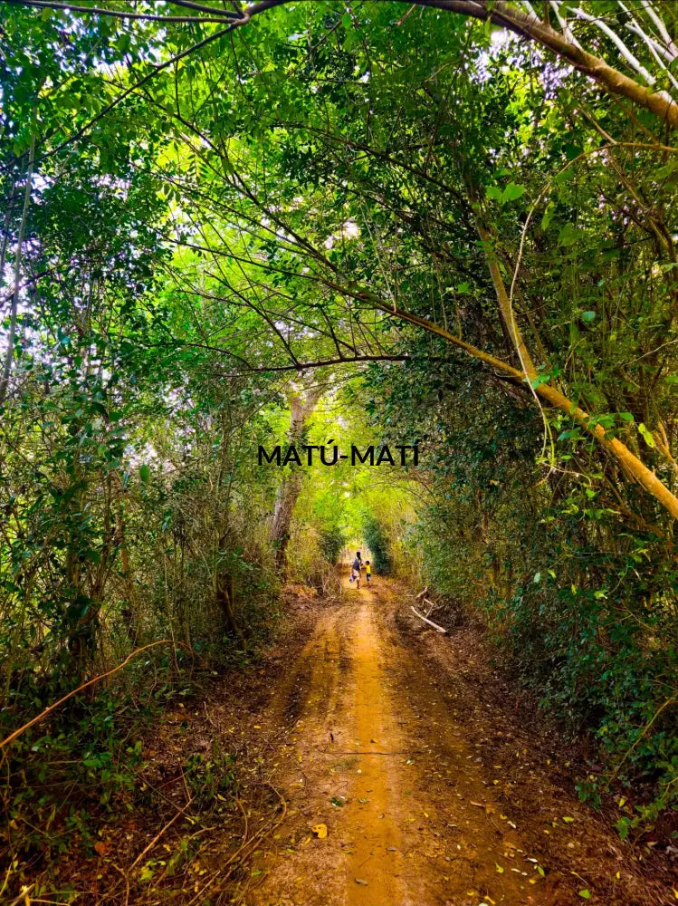 The Mother and the child Exclusive Premium License Photography